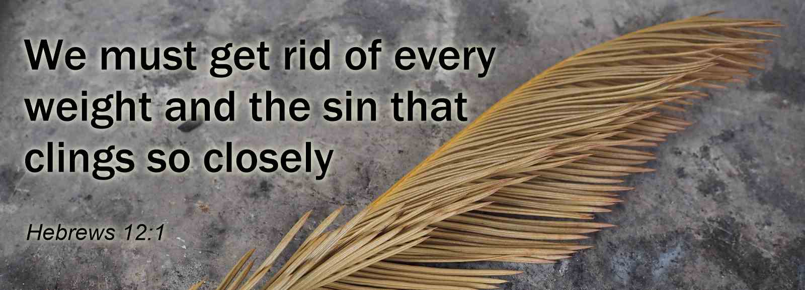Image of dry palm leaf with text from Hebrews 12:1 "We must get rid of every weight and the sin that clings so closely"